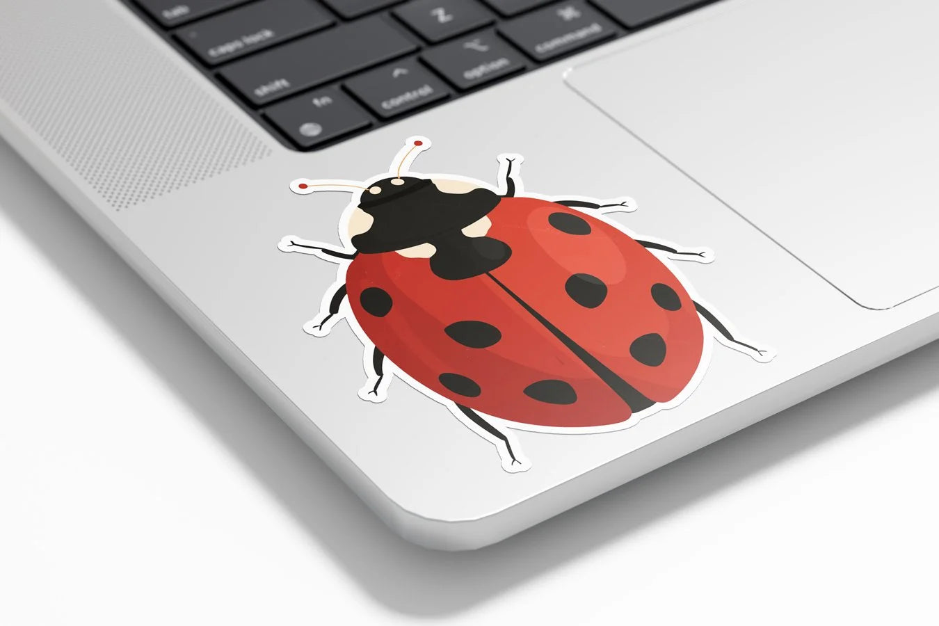 Sticker Coccinelle Porte-Bonheur – Autocollant Vinyle Découpé, Étanche & Résistant aux UV