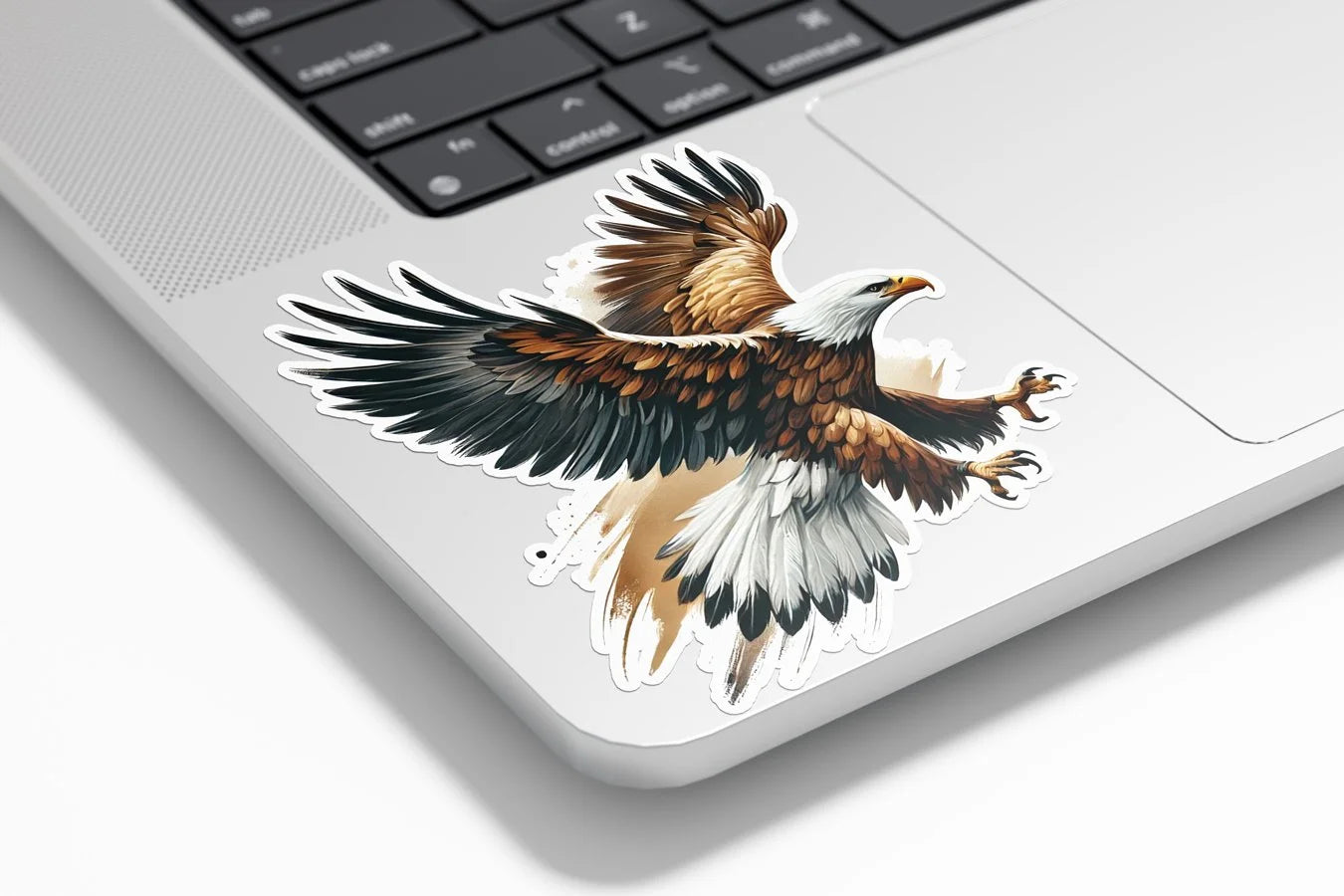 Sticker vinyle Aigle Royal en vol - Autocollant résistant à l'eau et aux UV - Rapace majestueux