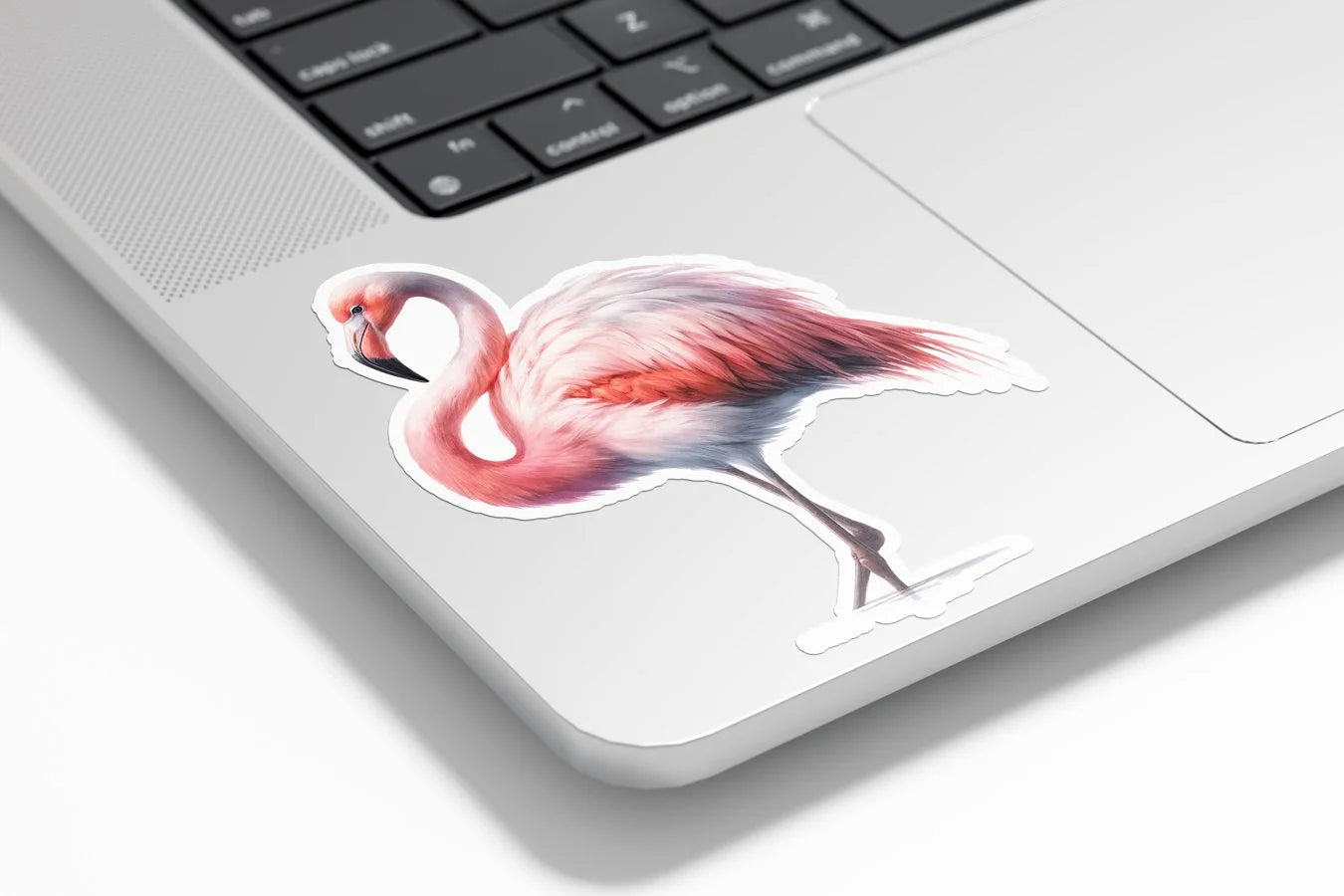 Sticker Vinyle Flamant Rose en Aquarelle – Autocollant Découpé à la Forme, Résistant à l'Eau et aux UV