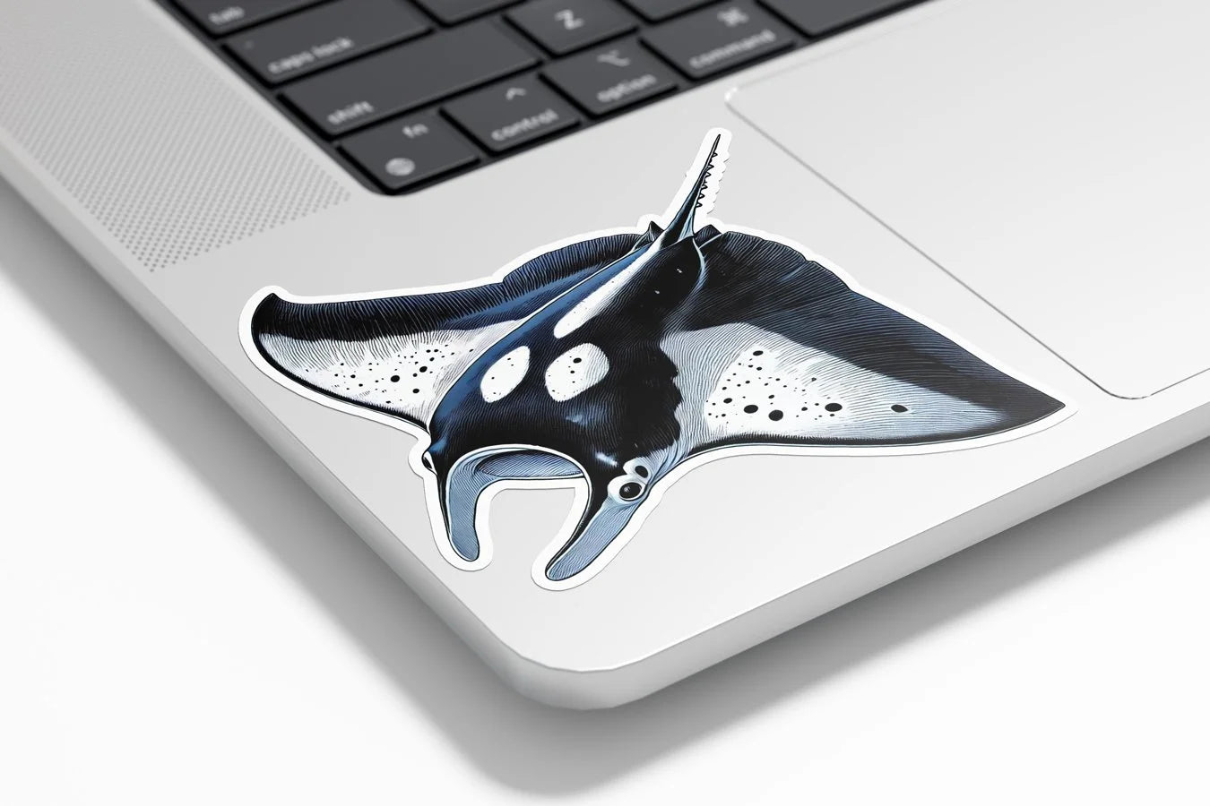 Sticker Vinyle Raie Manta - Animal Marin - Découpe à la Forme - Résistant Eau et UV - Illustration Océan
