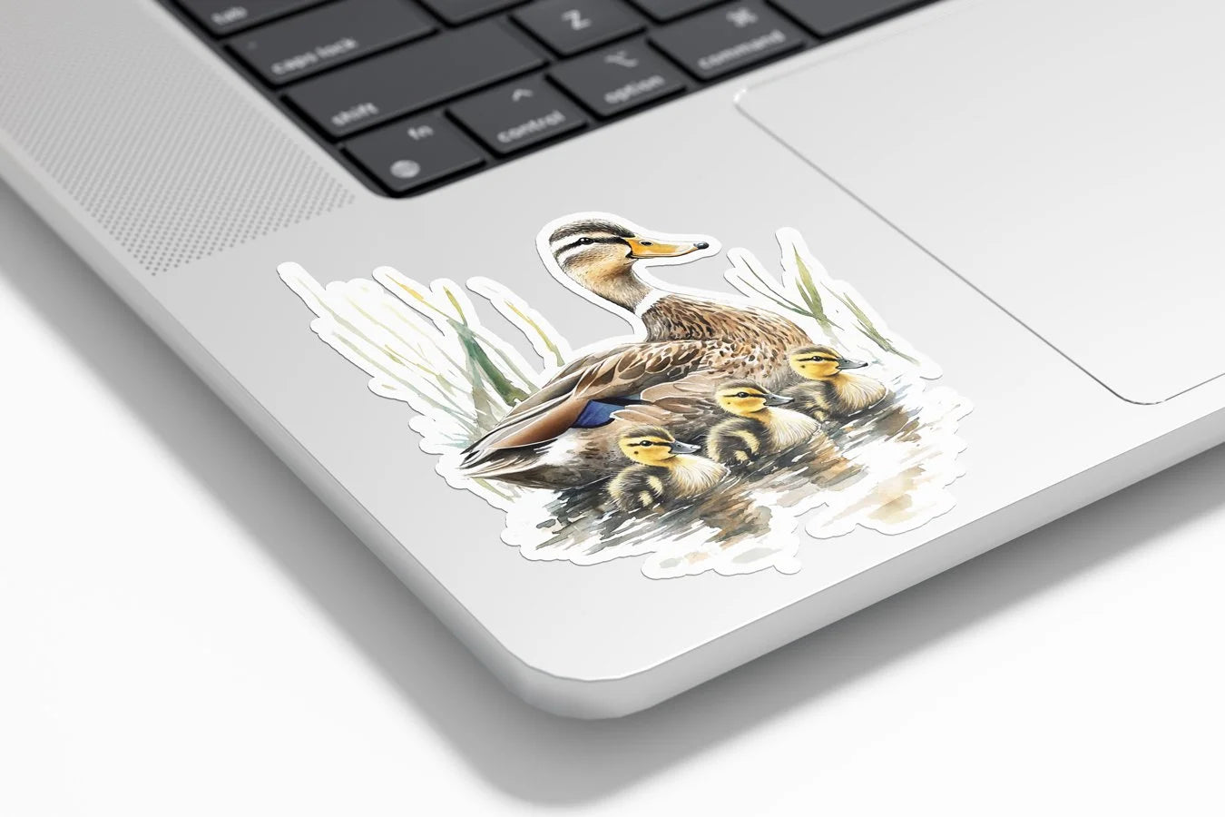 Sticker Vinyle Canard et Canetons | Illustration Aquarelle | Autocollant Étanche et Résistant aux UV | Découpe Personnal