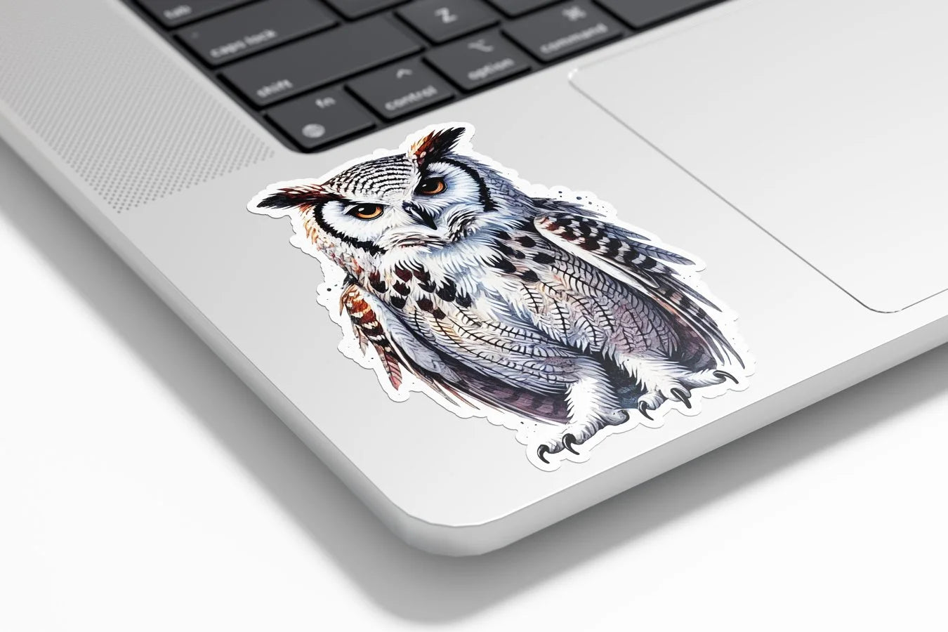PACK AUTOCOLLANTS Stickers Vinyle Hibou - Illustration Aquarelle Chouette Nocturne Résistant Eau Uv Animaux Sauvage Forê