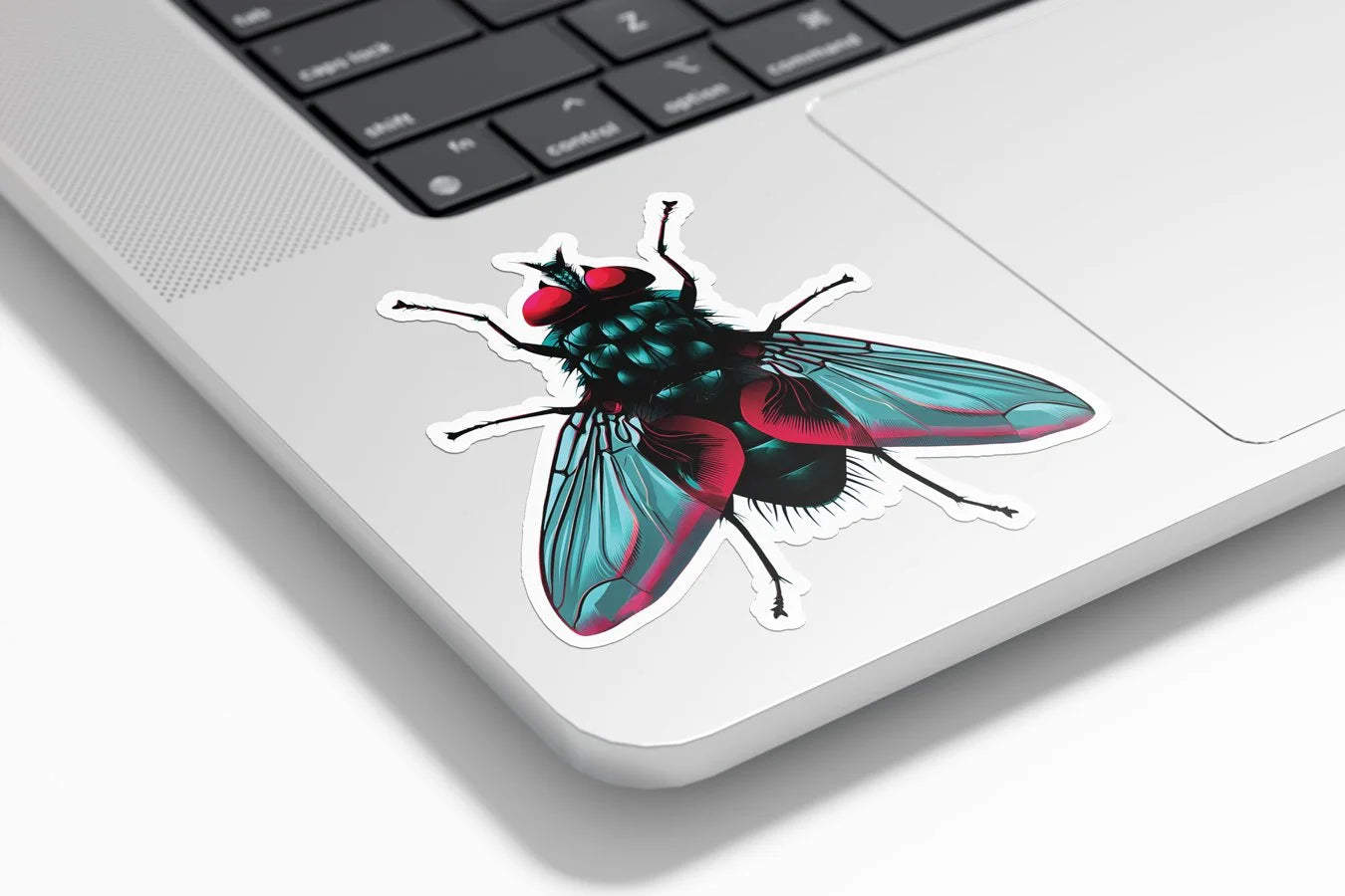 Sticker vinyle Mouche colorée – Autocollant insecte ailé illustré, résistant eau & UV