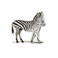 Sticker Vinyle Zèbre – Autocollant Animal à Rayures Sauvage de la Savane – Waterproof & Résistant UV – Noir & Blanc