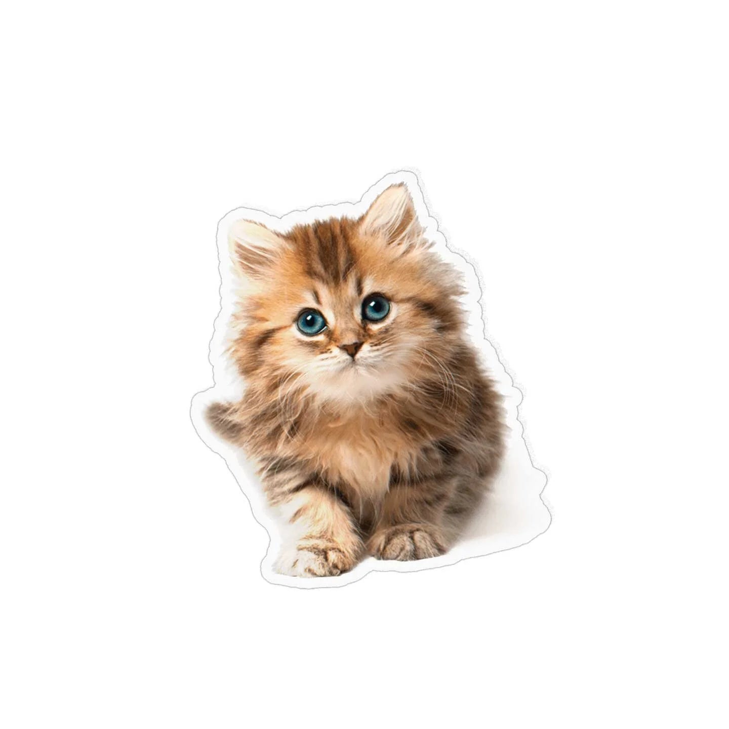 Chat bebe minion qui pose