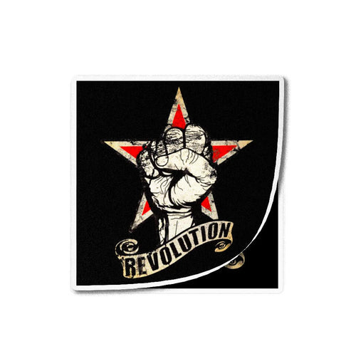 Revolution poing leve